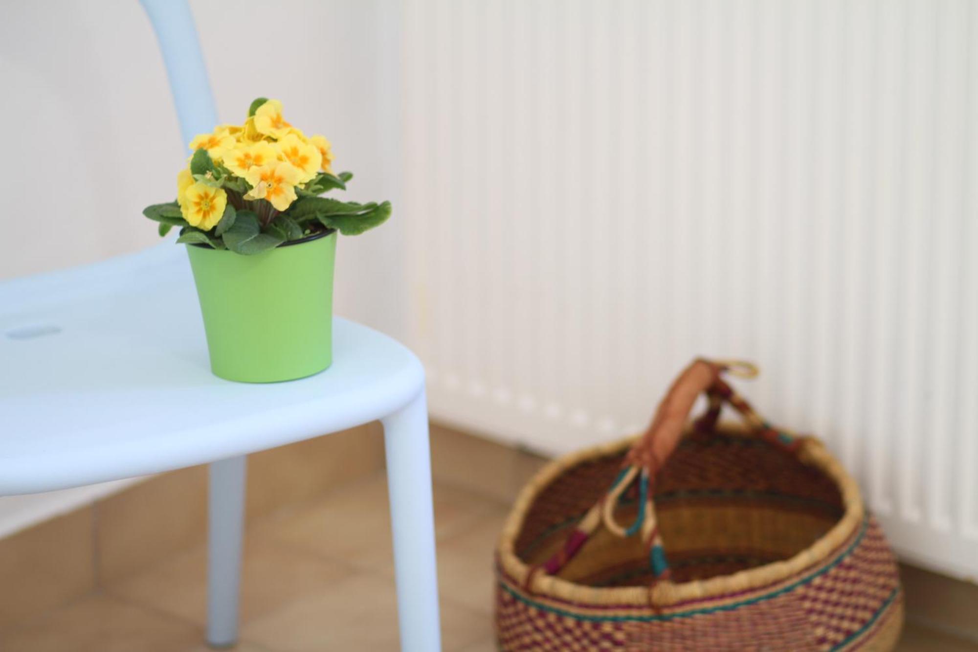 - Compartir Apartament Cadaqués